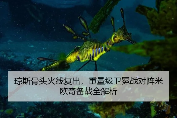 qiong-si-gu-tou-huo-xian-fu-chu-zhong-liang-ji-wei-mian-zhan-dui-zhen-mi-ou-qi-bei-zhan-quan-jie-xi-2-468.jpg