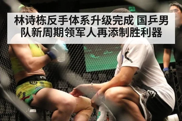 林诗栋反手体系升级完成 国乒男队新周期领军人再添制胜利器